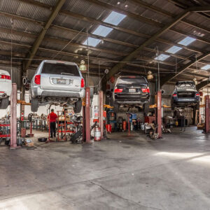 A series of vehicles lifted on hydraulics for their under bodies to be worked on.