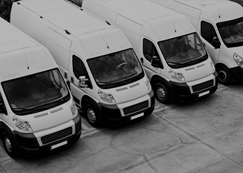 A line up of white vans.