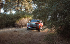 A red GMC truck in a clearing, surrounded by pine trees.