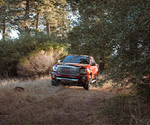 A red GMC truck in a clearing, surrounded by pine trees.